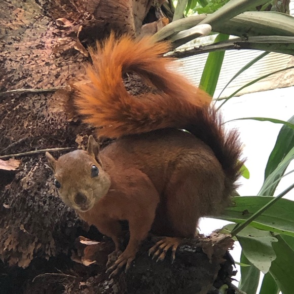 Meet your Posher, Adriana - Picture 1 of 1